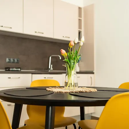 Sunny Penthouse With Mountain Views And 180 Degrees Terrace 公寓
